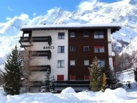Amici 