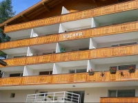 Viscaria Zermatt 