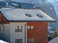 Rose II Wengen 