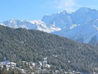 Apartment Fennec Verbier 