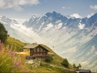 Alpenhotel zur Wildi 
