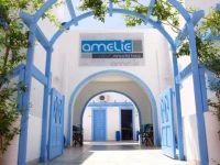 Amelie 3*