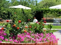 Cathrin Apartments & Studios 1*
