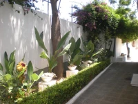 Manolis House 1*