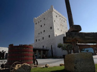 Chateau Pago De Cirsus
