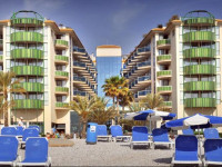 Kaktus Albir