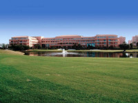 Husa Alicante