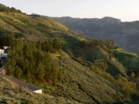 Parador de Cruz de Tejeda 4*