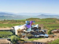 Marques de Riscal 5*