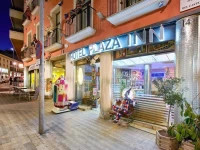 Hotel Plaza Inn 3*