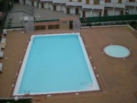 Los Cactus 2*