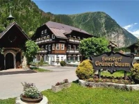 Hoteldorf Gruener Baum 4*