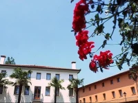 Hotel DallOngaro 3*