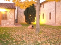 Residence Vecchio Granaio 3*