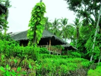 Coral Bay Resort Bo Phut 3*