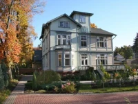 Roze 4*