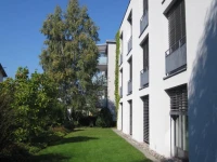 Schatzmann 4*