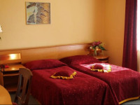 Hotel Żuławy