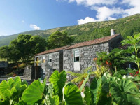 Adegas do Pico Rural Tourism
