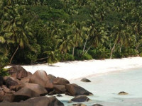 Silhuette Island Lodge