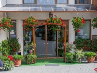 Hotel Cosmos 3*