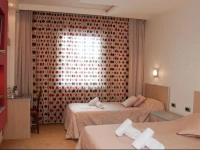 Hotel Vigor 