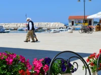 Villetta Phasiana 3*
