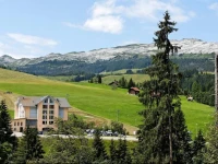 Wellnesshotel Rischli 3*