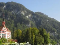 Hotel Vitznauerhof 5*