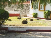 Parador Vernal 4*