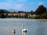 Govino Bay Corfu 4*