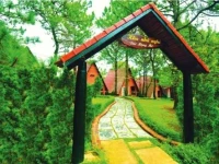 Dreaming Hill 2*