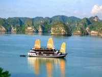 Paradise Luxury 5*