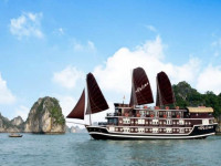 Paloma Cruise