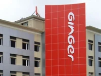 Ginger Hotel Goa 3*