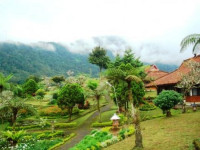 Danau Buyan Resort
