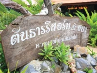 Tontarn Resort & Spa 2*