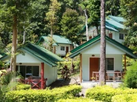 Mountain View Resort 3*