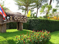 Sea Coco