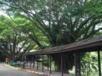Kong Garden View Resort 3*