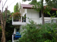 The Delight Pine Tree Village 2*