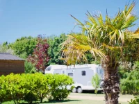 The Palms Campsite 