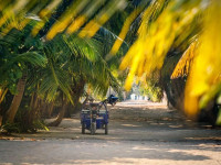 Fehendhoo Stay