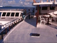 Flying Fish 3*