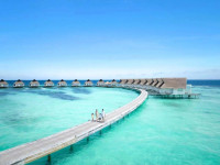 Machchafushi