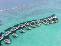 Joy Island