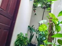 Reef Guest House 