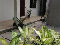 The Rose Garden House -Kodagedhari Magu, Hithadhoo