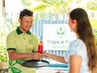 Tropical Tree 4*