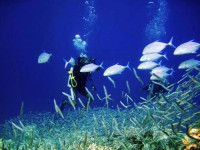 Thulusdhoo Garden Villa